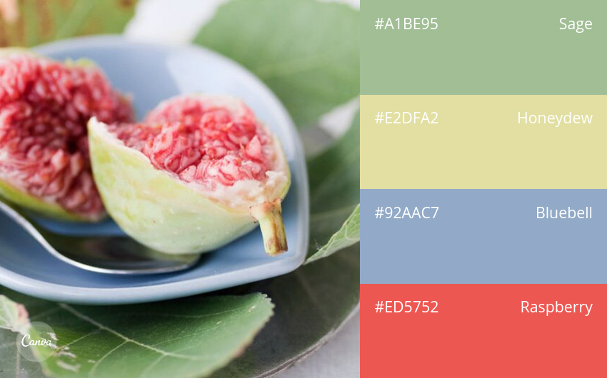 color combination